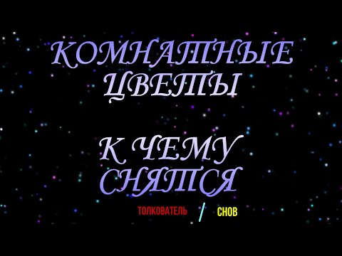 ТОЛКОВАТЕЛЬ СНОВ ~ КОМНАТНЫЕ ЦВЕТЫ ВО СНЕ, К ЧЕМУ СНЯТСЯ  СОННИК YOUTUBE. 🌺🌺🌺