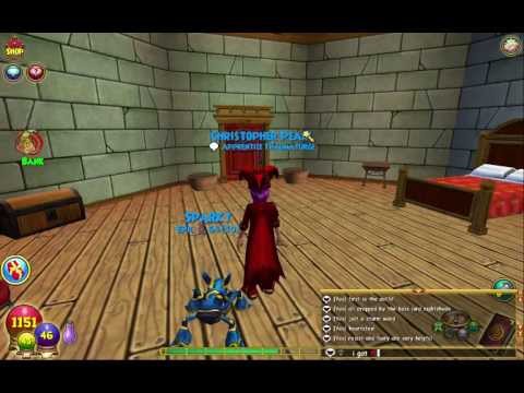 WIzard101 low lvl ranked pvp set up.