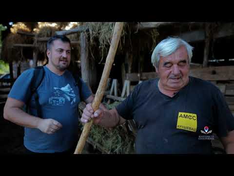 RADNO do SVETOG DRVEĆA | Ćićevački zapisi | Pomoravlje | KULTURISTA Ep.16