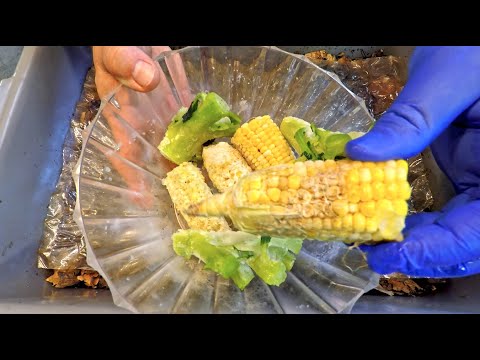 Paired-up red wiggler worm bins fed for the 11th & 8th times - vermicompost