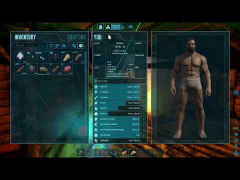 matijaplanina's Live fortnite