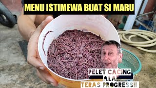 Download lagu BIKIN PELET CACING BUAT CHANNA‼️INI RACIKAN ALA TERAS PROGRESS mp3