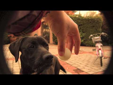 EnSecreto - Interludio (Dj Ese té)