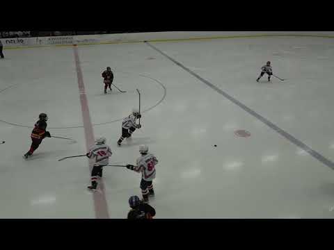 Best In West 2019 U12 - DIF - Värmdö HC