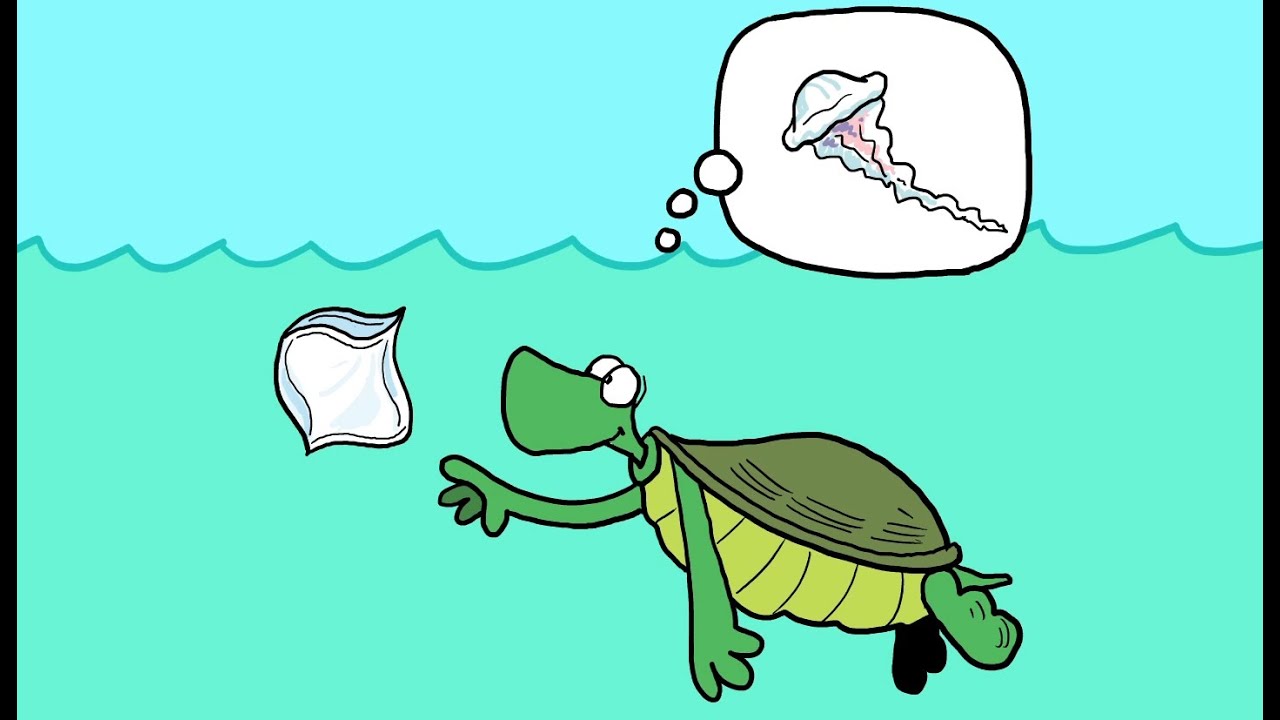 What Is Marine Debris? | A Cartoon Crash Course