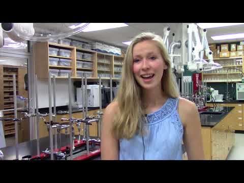 Meghan Harrison (biochemistry senior)