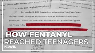 Court documents detail how teen who overdosed on fentanyl procured pills