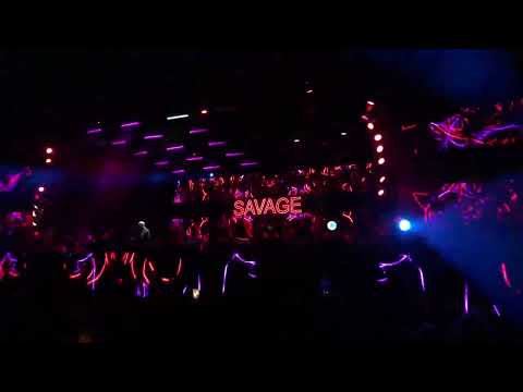 Facundo Mohrr @ SAVAGE (Mandarine Park)