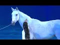 LEILA THE LAND OF IMAGINATION Teaser