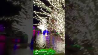 Xmas decor in Seattle 🎄