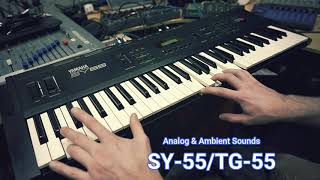 Video thumbnail for Yamaha SY55/TG55 - 64 Ambient & Analog Presets by LFOstore