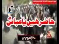HAZIR HAI YA ABBAS A S