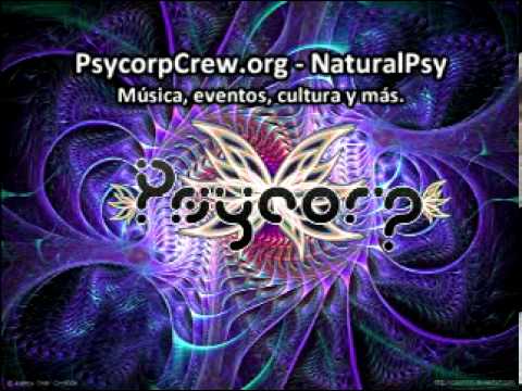 Who Da Funk Feat. Jessica Eve - Shiny Disco Balls (GMS Remix) PsycorpCrew.org