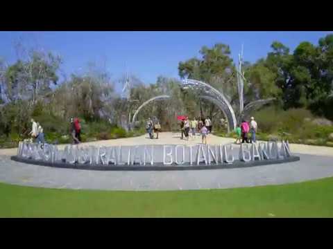 Welcome to magnificent Kings Park!