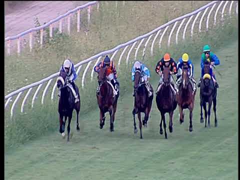 Galoppo 24/08/2019 - 3ª corsa