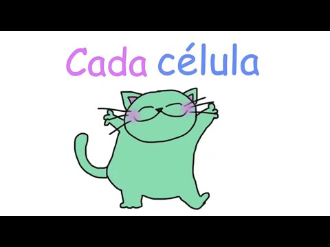 Video: Every little cell (ES)