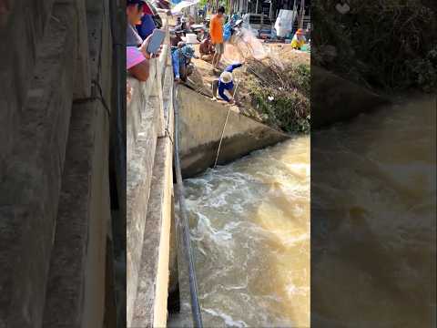 Real Life 100% Net Fishing In River At The Countryside (Part 1199) #fishing #fish #new