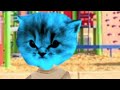 The Amazing World Of Gumball But Live Action Part 2
