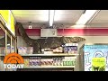 Huge Monitor Lizard Caught On Camera Climbing Store Shelves | TODAY