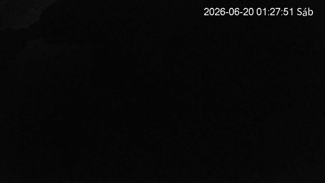 Live webcam view of Black Stork Nest, International Tagus