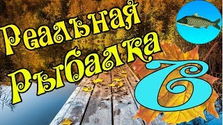 Как поймать канального сомика в реальной рыбалке