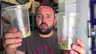 Split Batch Brewing - Post Boil