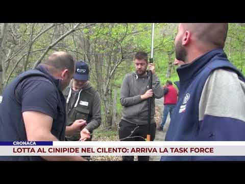 LOTTA AL CINIPIDE NEL CILENTO: ARRIVA LA TASK FORCE