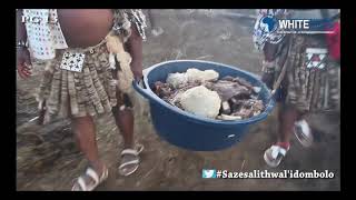 Pastor Mjosty idombolo Khuzani Mpungose Igcokamelisha Thuso Phala dance Pastor Mjosty idombolo Khuzani Mpungose Igcokamelisha Thuso Phala dance