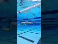 Have you ever seen such a beautiful underwater dolphin kick