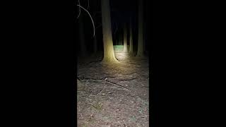 Lumintop D2