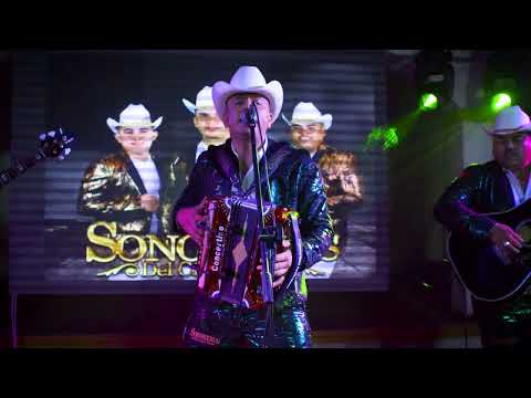 La Mayita - Sonoreños del Compa Tico // (Video Oficial en Vivo) 2022