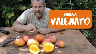 Miniatura do vídeo