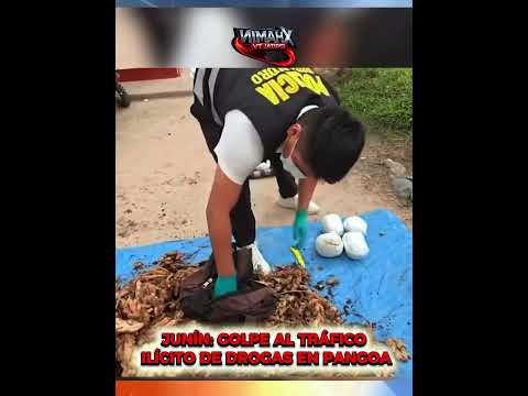 JUNÍN: GOLPE AL TRÁFICO ILÍCITO DE DROGAS EN PANGOA