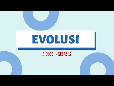EVOLUTION: BIOLOGY GRADE 12 HIGH SCHOOL
