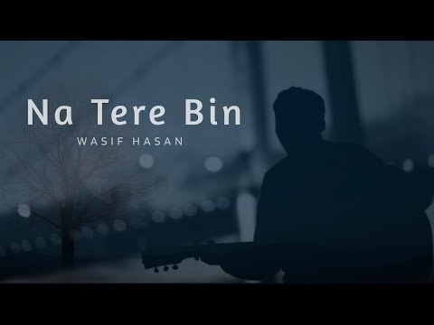 Wasif Hasan - Na Tere Bin | Official Video