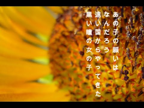 Perrine Monogatari Shoujo no Yume Kumiko Oosugi & Feeling Free