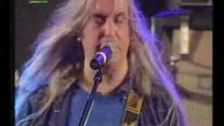 Dinosaur Jr -Been there all the time