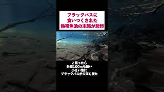 外来種だらけの野池がヤバすぎた　#shorts