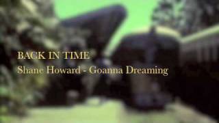 BACK IN TIME - SHANE HOWARD - GOANNA DREAMING - CD