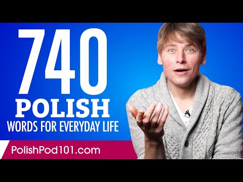 740 Polish Words for Everyday Life - Basic Vocabulary #37