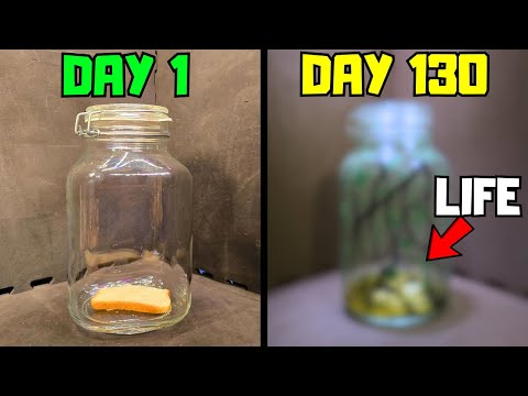 I Put Bread In a Jar...It Came Alive