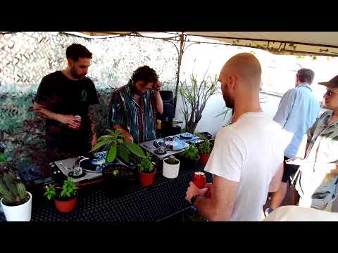 Kommuna Gathering | Mirador Barcelona