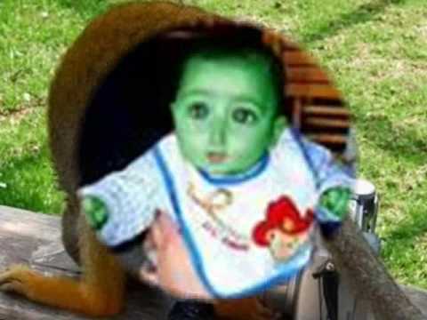 Noise - Cacasónica ¨Gatocore¨Grindnoise from Ecuador, Funny and Noisy - Chistoso y Ruidoso.