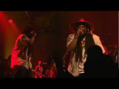 Isiah Shaka - Irie (Live)
