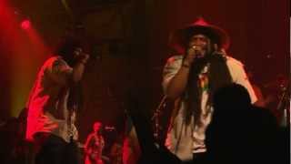 Isiah Shaka - Irie (Live)