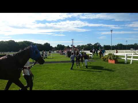 NEM TUDOK SAJNOS MENNI ELFOGYOTT A PÉNZEM.CIRFANDLI 1HÉTRE IS ELSŐ.MAGNIFIQUE