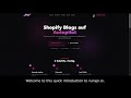 Old Version How To Install The Runapi Io Shopify App Step By Step Tutorial EN