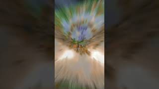 Download lagu Agus Daqiqi & Ning fita.              #videoshort mp3