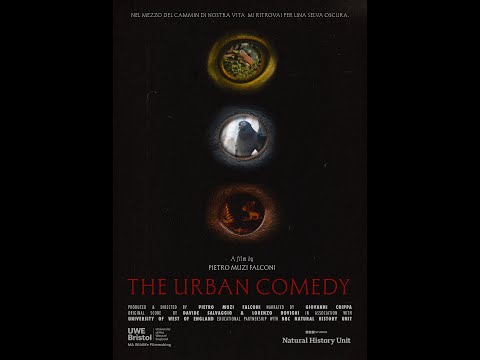 Anteprima video: The Urban Comedy