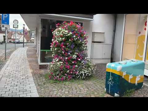 BEBRA GERMANY 🇩🇪. | Bebra walking tour near to Bebra Train Station ## .